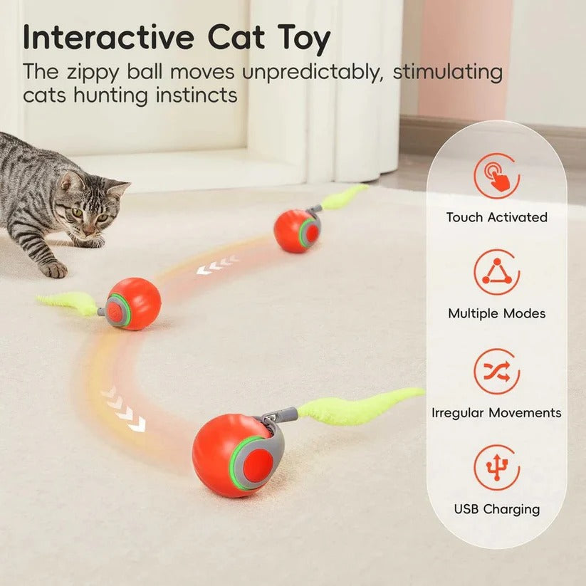 Interaktives Katzenspielzeug mit Schwanzdesign – 2er Set