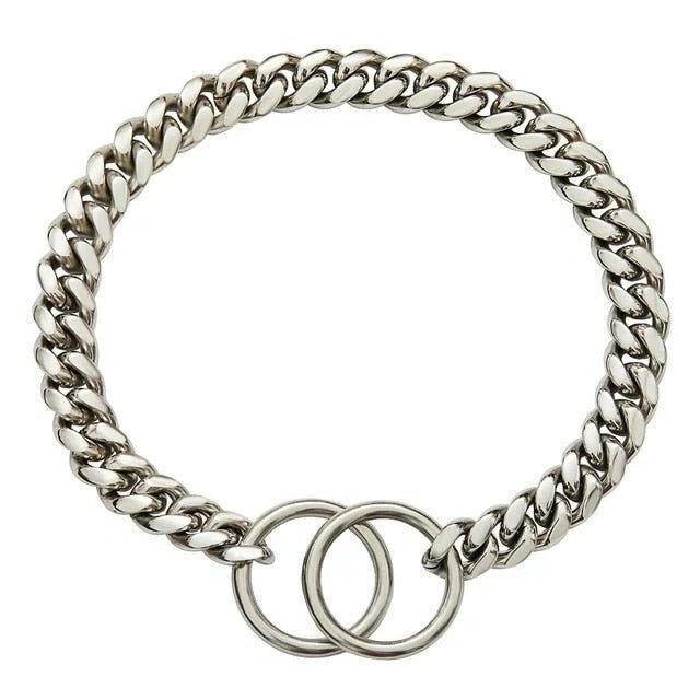 Robuster Hundehalsband aus Edelstahl mit Verstellkette