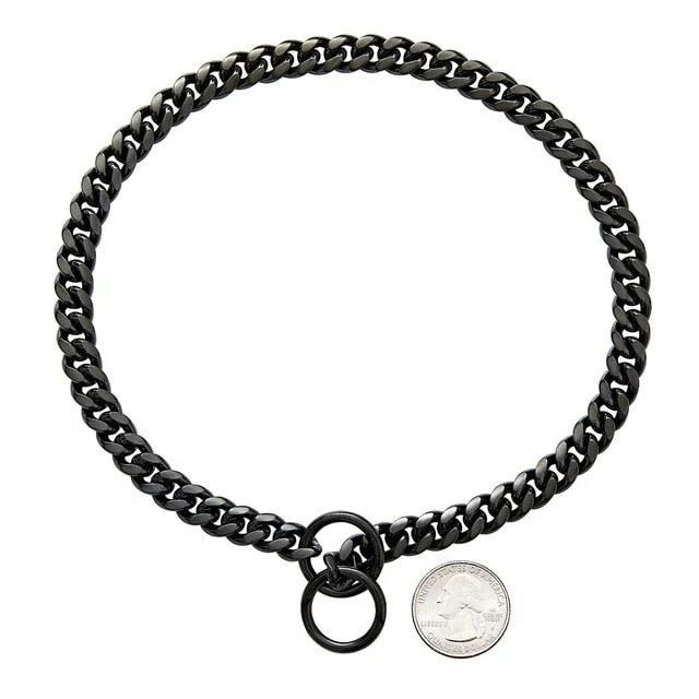 Robuster Hundehalsband aus Edelstahl mit Verstellkette