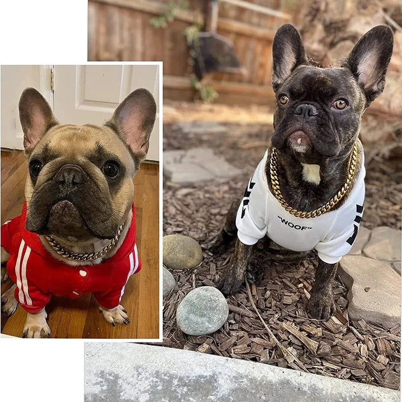 Robuster Hundehalsband aus Edelstahl mit Verstellkette