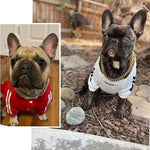 Verstellbarer Edelstahl-Hundehalsband mit Robuster Kette