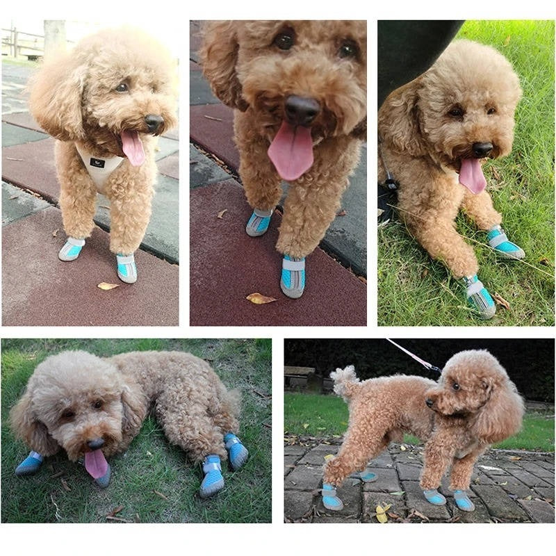 Wasserdichte Atmungsaktive Hundeschuhe mit Rutschfester Sohle – 4er Set