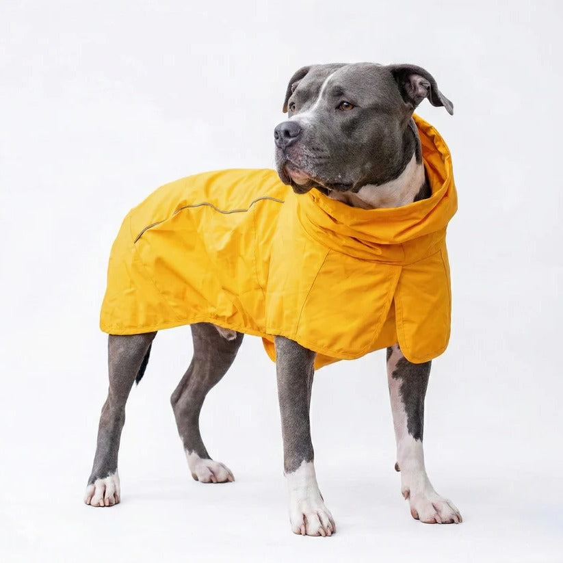 Wasserdichte und Winddichte Hunderegenjacke mit Rundum-Schutz