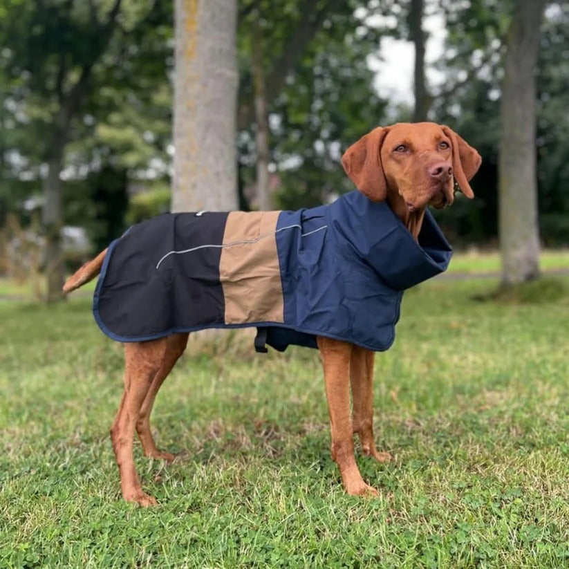 Wasserdichte und Winddichte Hunderegenjacke mit Rundum-Schutz