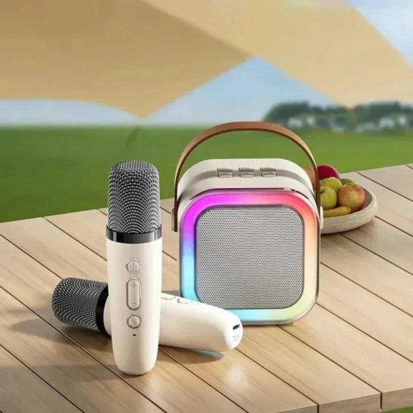 Tragbare Karaoke-Anlage mit Bluetooth und zwei Mikrofonen