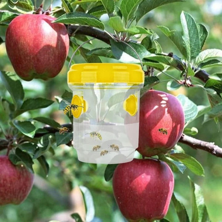 Fruchtfliegenfallen – Insektenfalle zur Bekämpfung von Obstfliegen