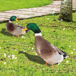 Lebensechte Entenfigur für den Garten