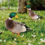 Lebensechte Entenfigur für den Garten