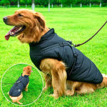 Wasserdichte Winterjacke für Hunde