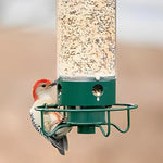 Eichhörnchenfester Vogel-Futterspender