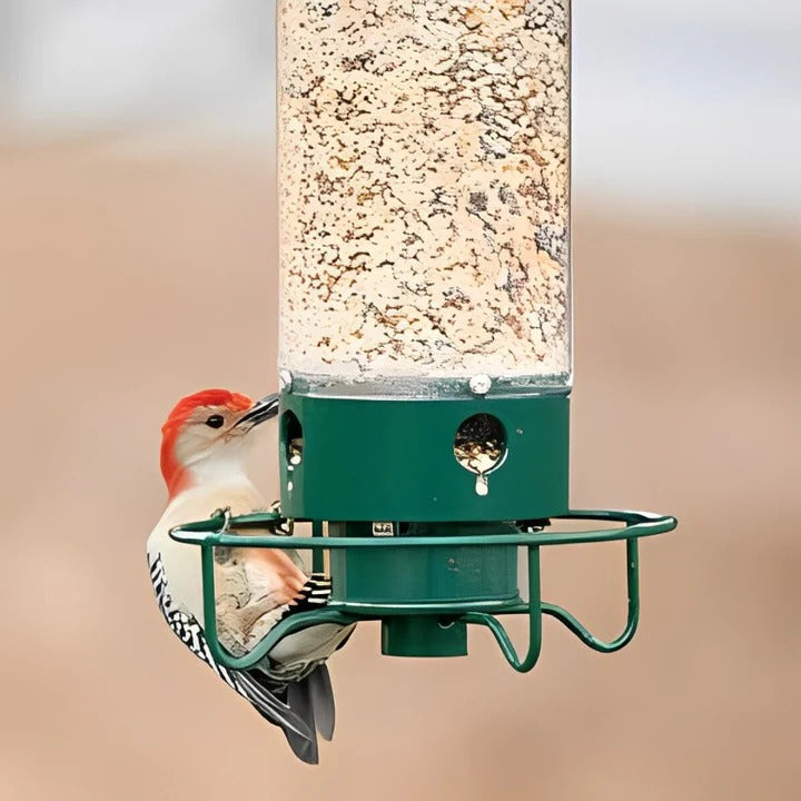 Eichhörnchenfester Vogel-Futterspender