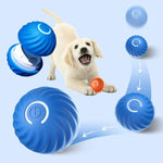 Aktives interaktives Hundespielzeug – SpielSpaß