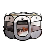 Sicheres Spielzelt für Katzen und kleine Hunde – Pop-Up Design