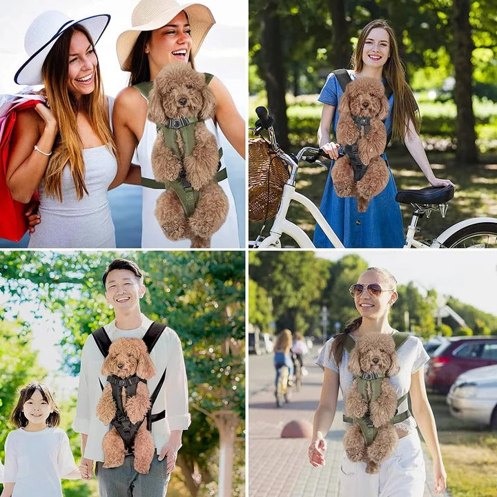 Hunde-Trage-Rucksack