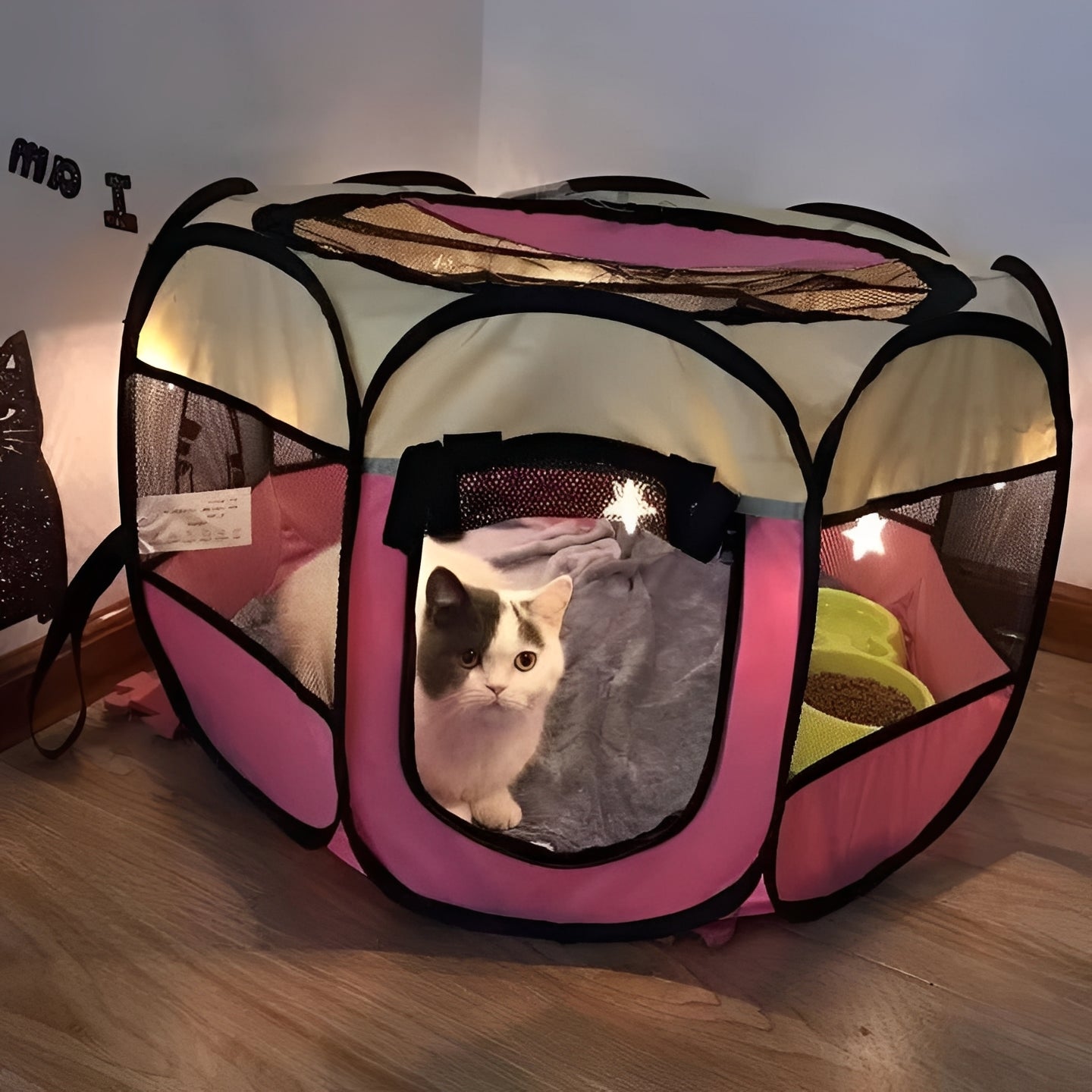 Kompakte Haustier-Spielzelte für Katzen und kleine Hunde