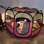 Sicheres Spielzelt für Katzen und kleine Hunde – Pop-Up Design