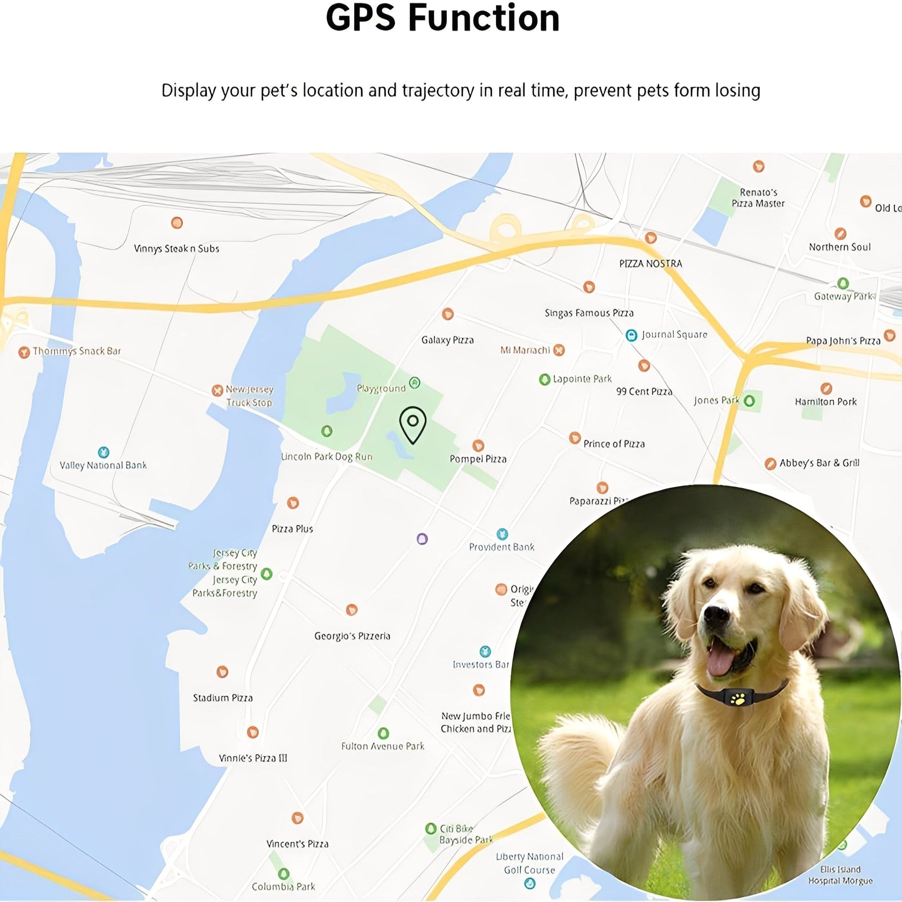 Intelligenter GPS-Halsband für Haustiere mit App-Funktionalität