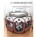 Sicheres Spielzelt für Katzen und kleine Hunde – Pop-Up Design