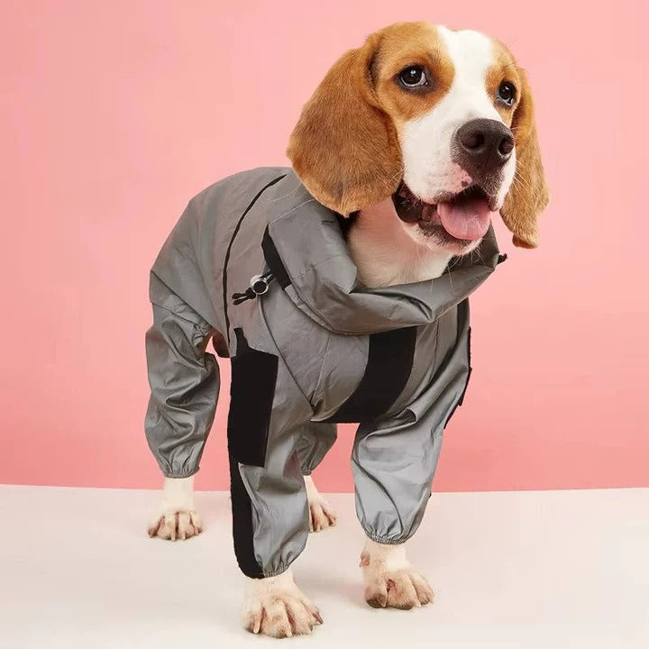 Wasserdichter Hundemantel mit Anpassbarem Schnitt