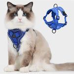 Reflektierendes Katzen-Geschirr mit Leine – Set