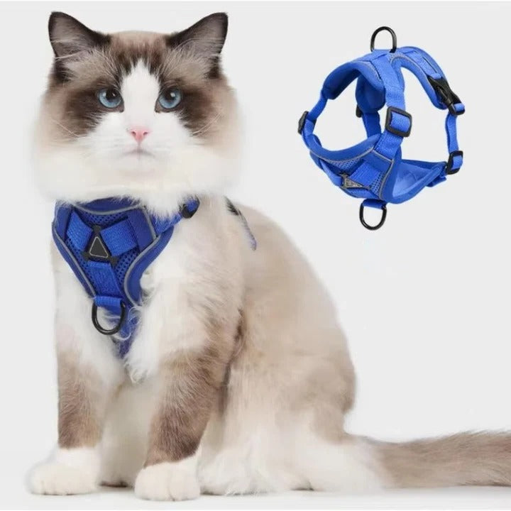 Reflektierendes Katzen-Geschirr mit Leine – Set