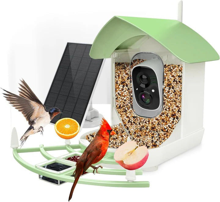 Intelligente Vogelfutterkamera mit App-Steuerung und Nachtsicht