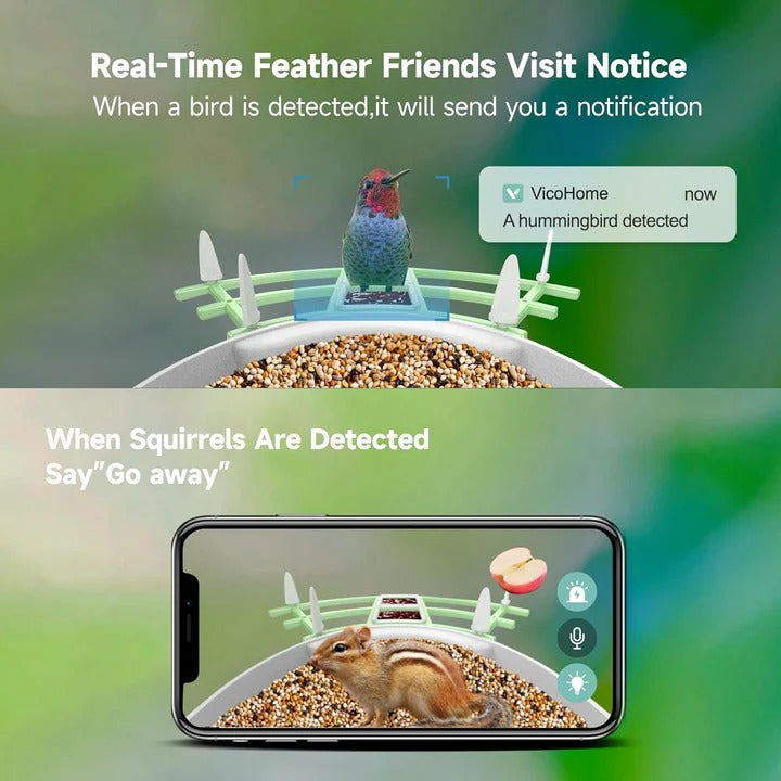 Intelligente Vogelfutterkamera mit App-Steuerung und Nachtsicht