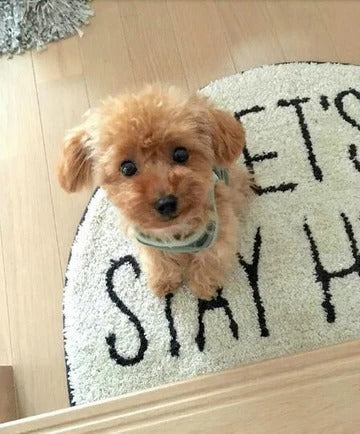 Echter Plüschhund Teddy Glückspuppe – Realistisches Spielzeug