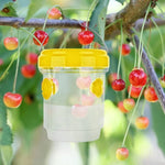 Fruchtfliegenfallen – Insektenfalle zur Bekämpfung von Obstfliegen