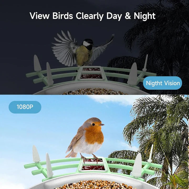 Intelligente Vogelfutterkamera mit App-Steuerung und Nachtsicht
