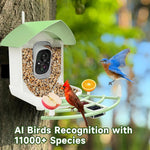 Intelligente Vogelfutterkamera mit App-Steuerung und Nachtsicht