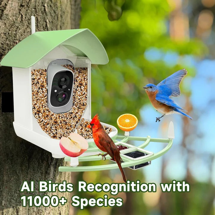 Intelligente Vogelfutterkamera mit App-Steuerung und Nachtsicht