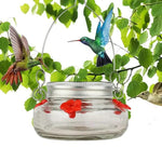 Durchsichtiger Blüten-Hummingbird-Futterspender
