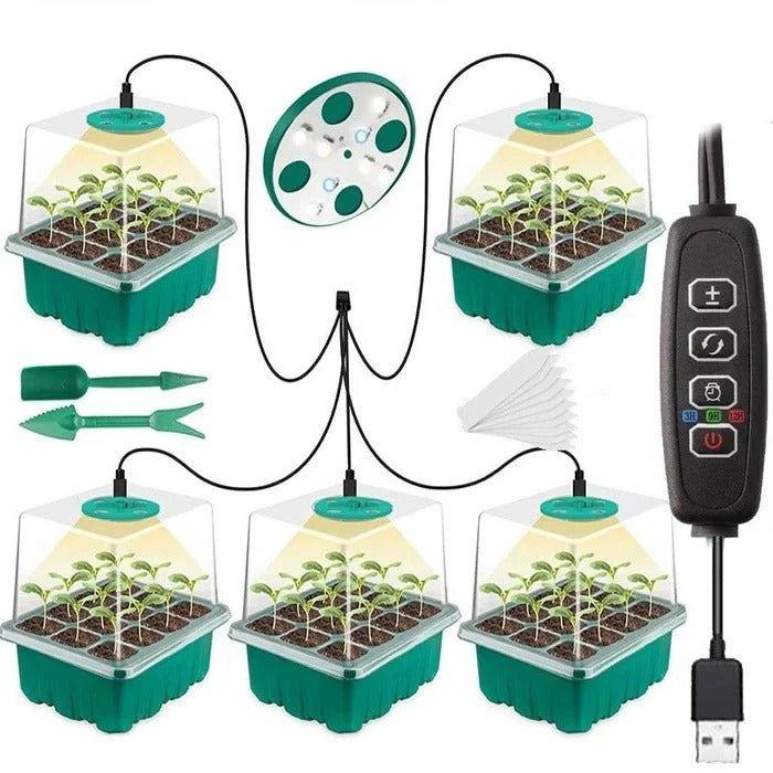 Haushalts-Blumentopf mit Lampe für das Kinderzimmer