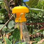Fruchtfliegenfalle mit hängendem Schutzdeckel