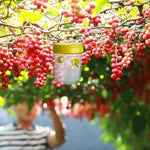 Fruchtfliegenfallen – Insektenfalle zur Bekämpfung von Obstfliegen