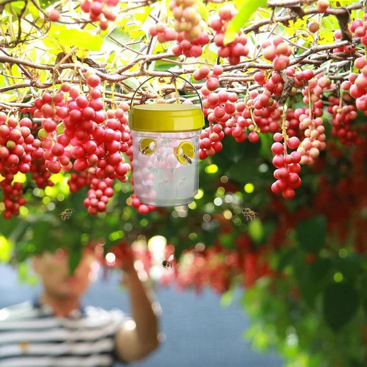 Fruchtfliegenfallen – Insektenfalle zur Bekämpfung von Obstfliegen