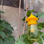 Fruchtfliegenfalle zum Hängen