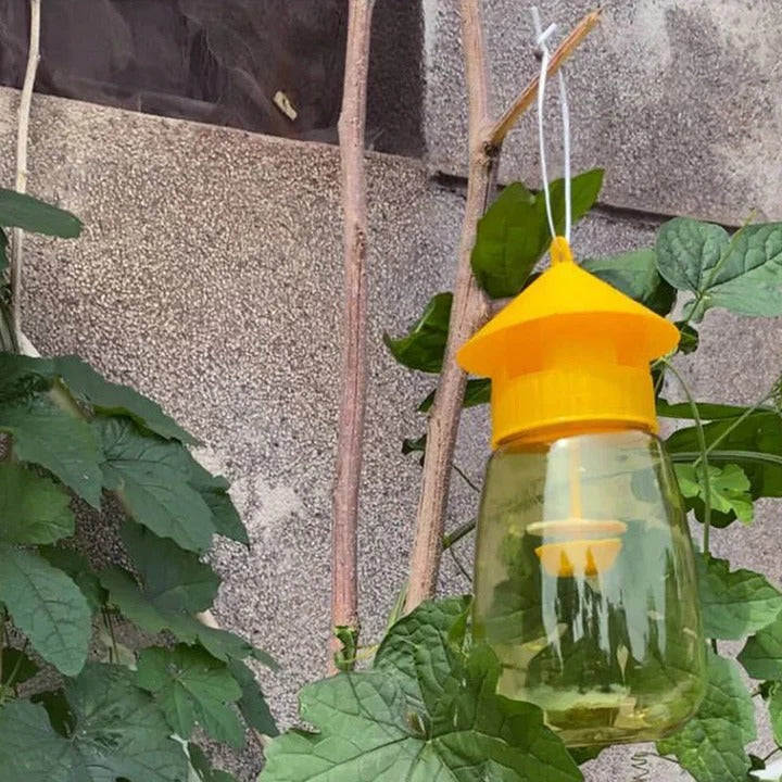 Fruchtfliegenfalle zum Hängen
