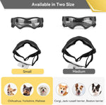 Luftige Hundebrille mit Verstellbarem Gurt