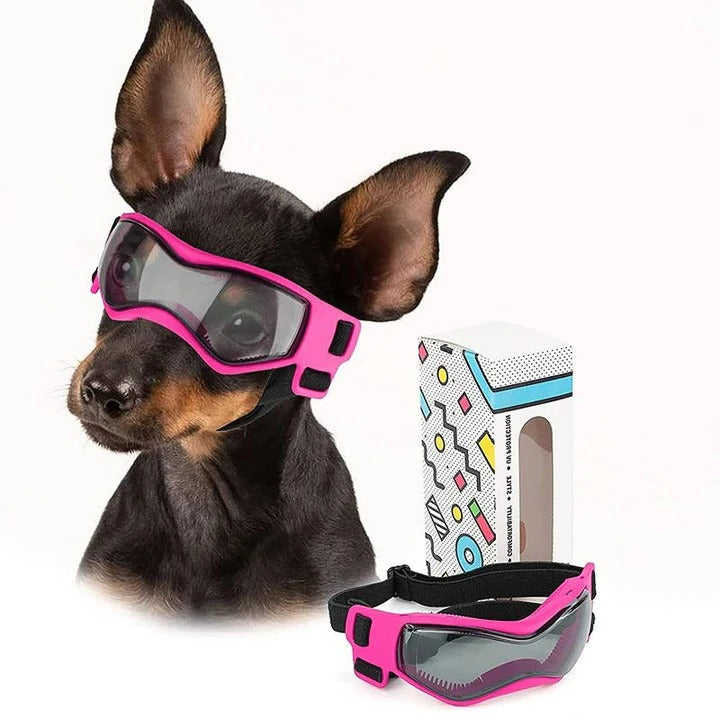 Belüftete Hundebrille mit Anpassbarem Riemen