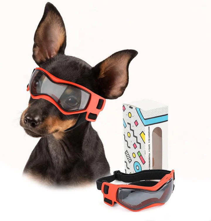 Luftige Hundebrille mit Verstellbarem Gurt