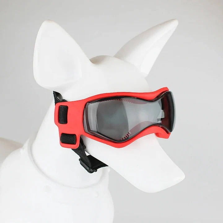 Luftige Hundebrille mit Verstellbarem Gurt