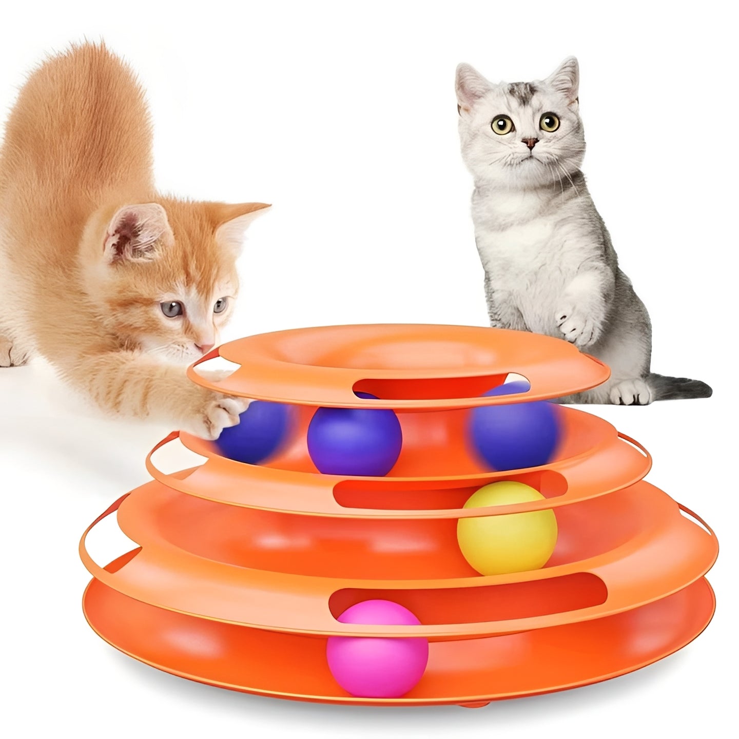 Katzen-Spielset für Interaktive Unterhaltung