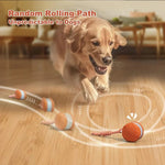 Interaktives Hundespielzeug mit Rollen und Seil – 2er Set