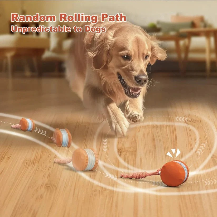 Interaktives Spielzeug für Hunde: Automatische Bewegungsball mit Seil, 2er Set