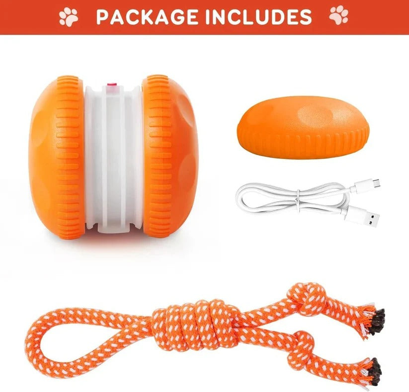 Interaktives Hundespielzeug mit Rollen und Seil – 2er Set