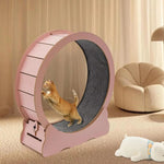 Katzenlaufrad für Bewegung und Spiel