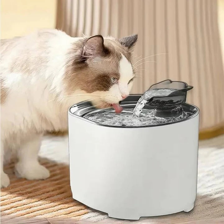Intelligente Katzenwasserquelle mit Filtersystem