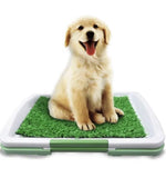 Hundetoilette mit Kunstrasen